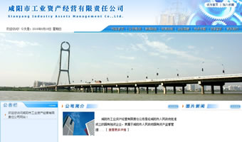 咸陽市工業(yè)資產經(jīng)營有限責任公司